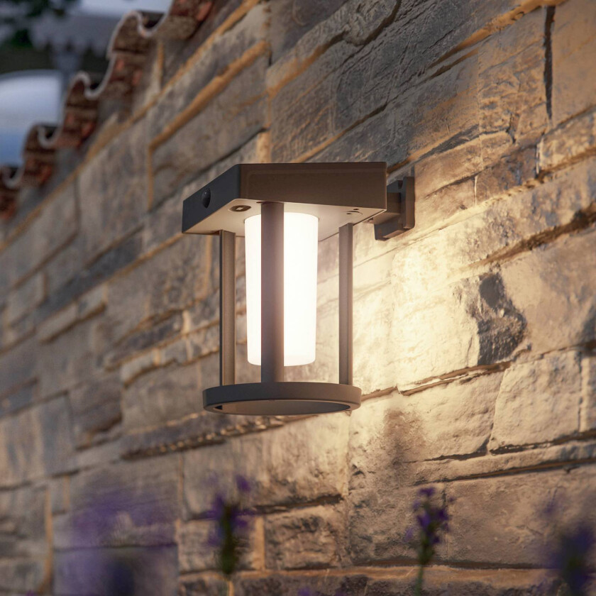 LED-vegglampe Camill, svart/hvit, Ø 14 cm