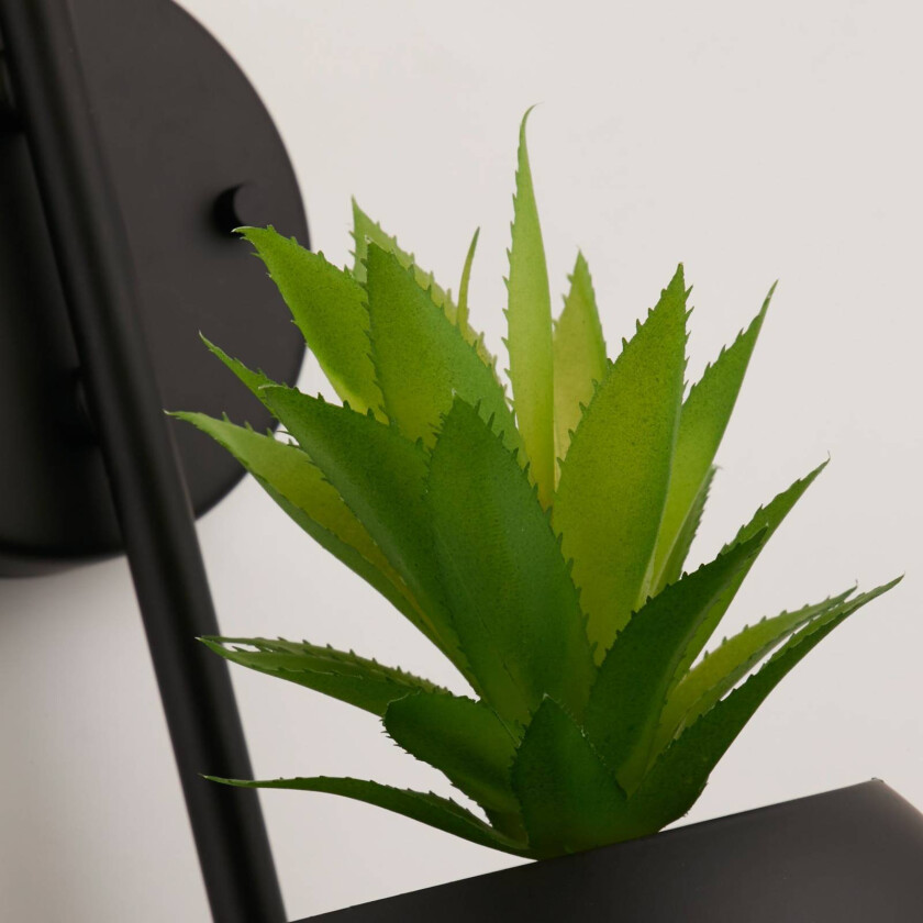 Vegglampe X Lunar, blomsterpotte