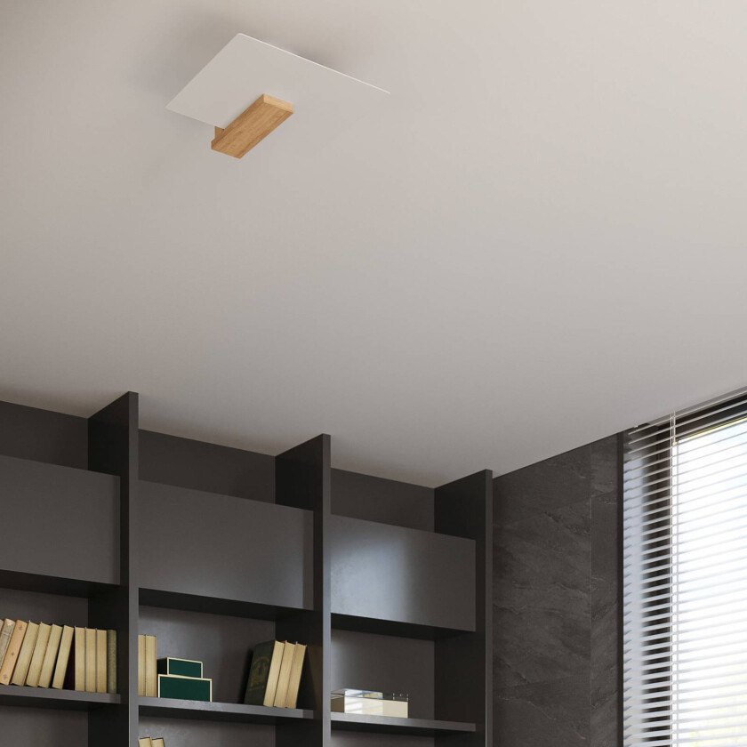 Peach Puff taklampe med glass, tre