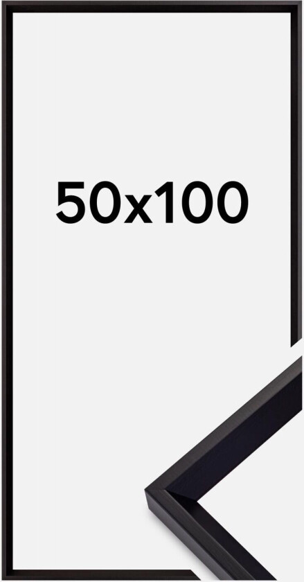 Ramme Globe Akrylglass Svart 50x100 Cm