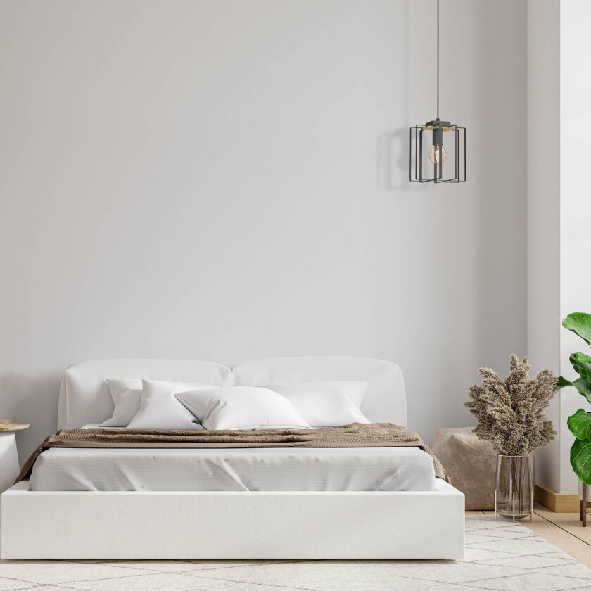 Fiete hengelampe, 1 lyskilde