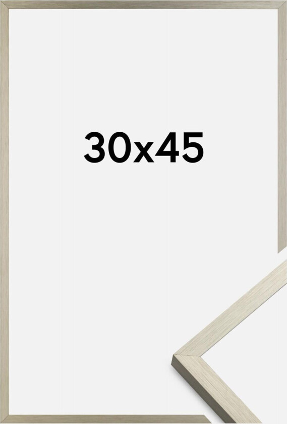 Ramme Chair Stål 30x45 Cm