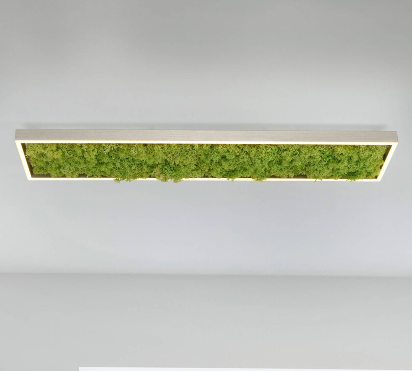 LED-taklampe Green Knut med ekte mose