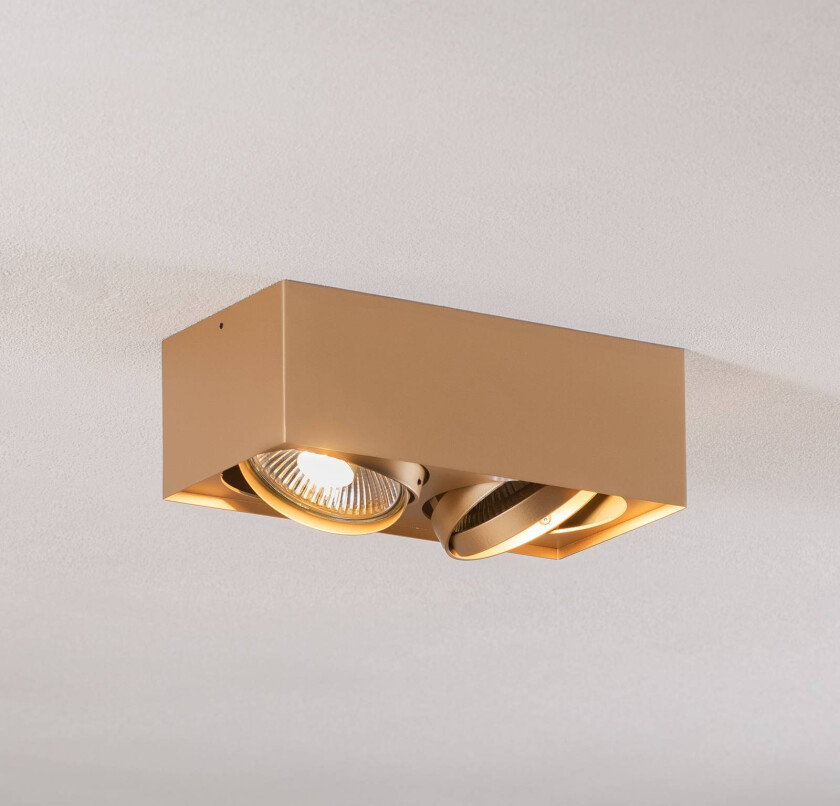 Downlight Riesta, gull, 2 lyskilder