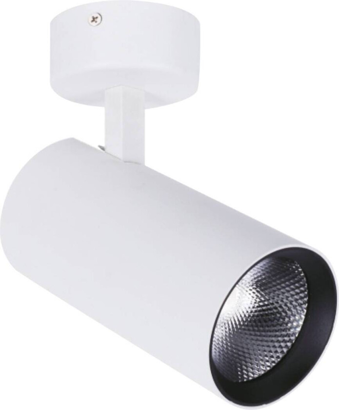 LED-downlight Nestor, hvit