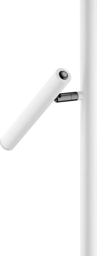 LED-gulvlampe Streak, 2 lyskilder, dimmer, hvit