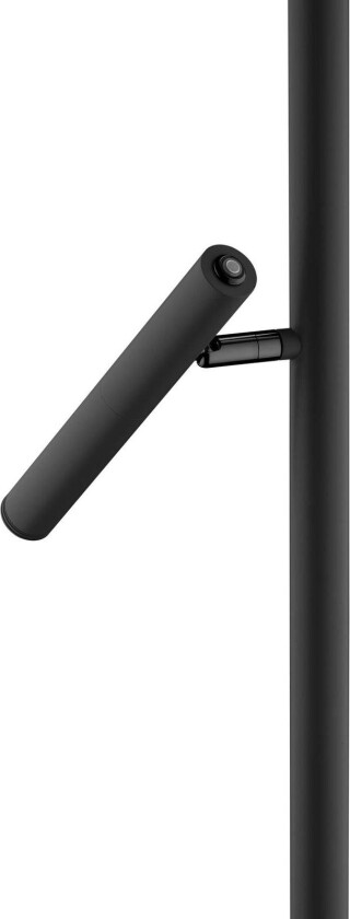 LED-gulvlampe Streak, 2 lyskilder, dimmer, svart