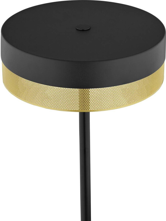 LED-gulvlampe Mesh med dimmer, svart/gull