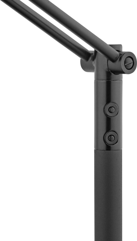 LED-buelampe Evolo CCT, svart