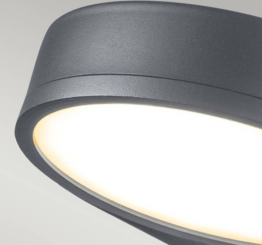 Utendørs LED-vegglampe Zola, rustfritt stål, grå