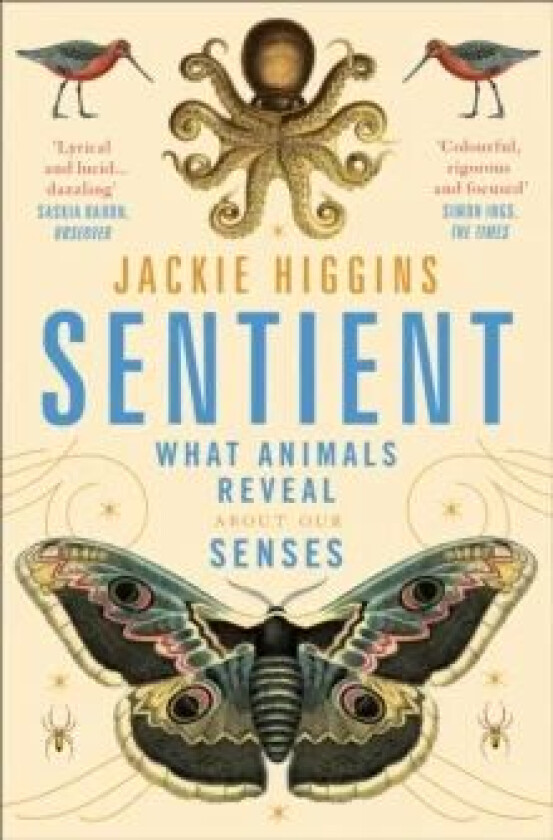 Sentient av Jackie Higgins