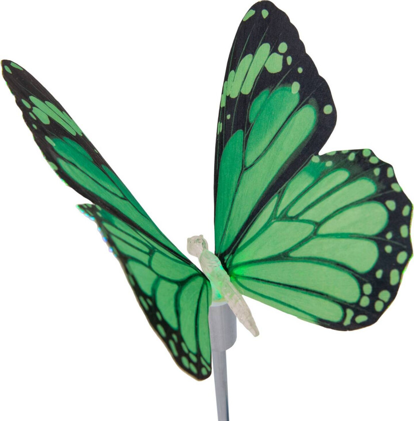 Deko-solcellelampe sommerfugl, jordspyd, RGB LED