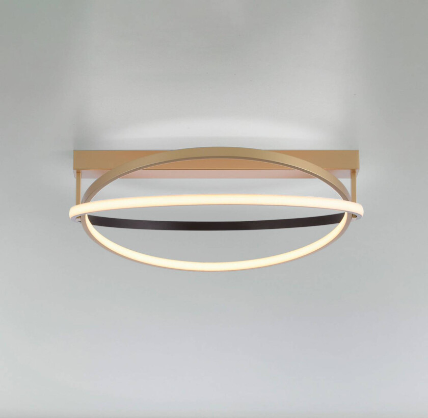 Paul Neuhaus Q-Beluga LED-taklampe, messing