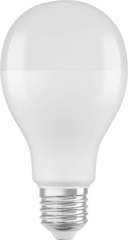 OSRAM Star LED-pære E27 19W 2452lm 6 500 K matt