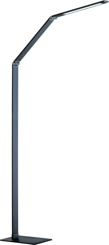 LED-gulvlampe Geri sensordimmer CCT antrasitt