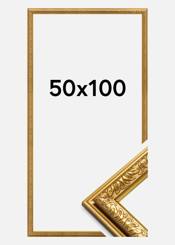 Ramme Nostalgia Akrylglass Gull 50x100 Cm