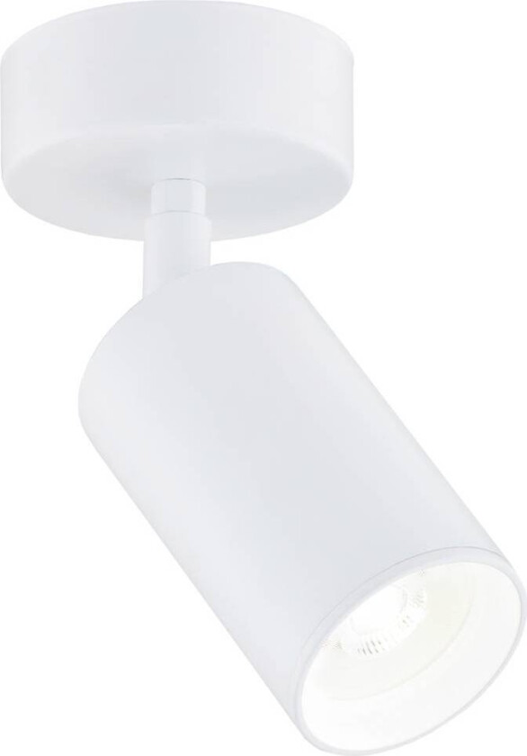 Sado downlight, hvit, stål, justerbar, 1 lyskilde, rund