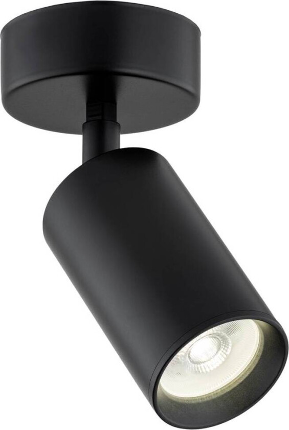 Downlight Sado svart stål, justerbar 1 lyskilde, rund