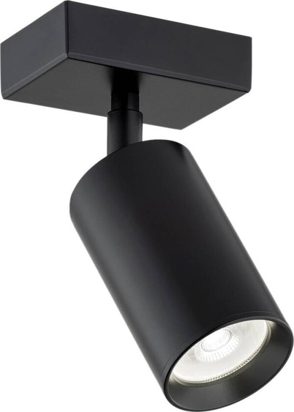 Downlight Sado svart stål justerbar 1 lyskilde kantet