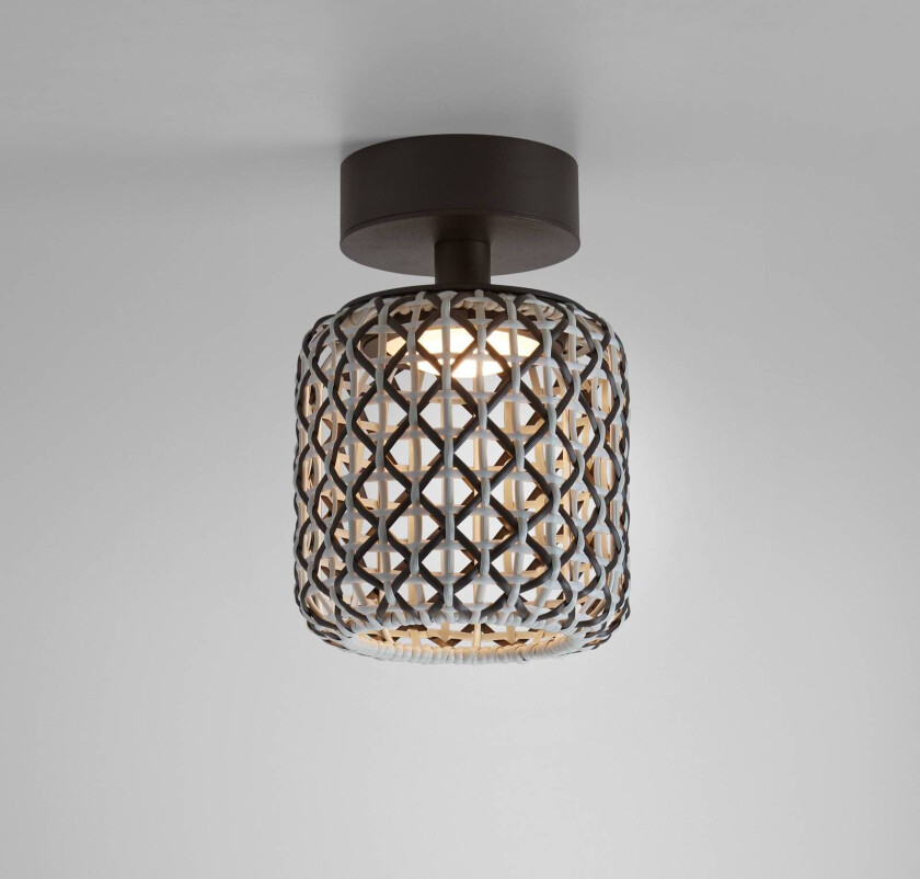 Nans PF/16 LED utendørs taklampe, brun