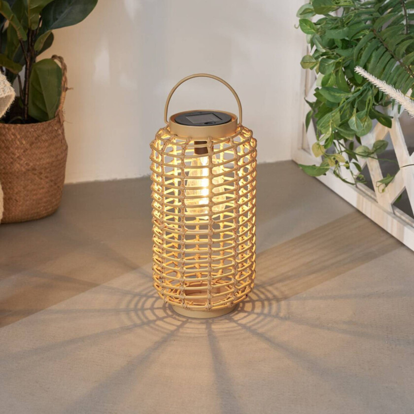 Sunshine Darling LED-solcellelykt med sollys