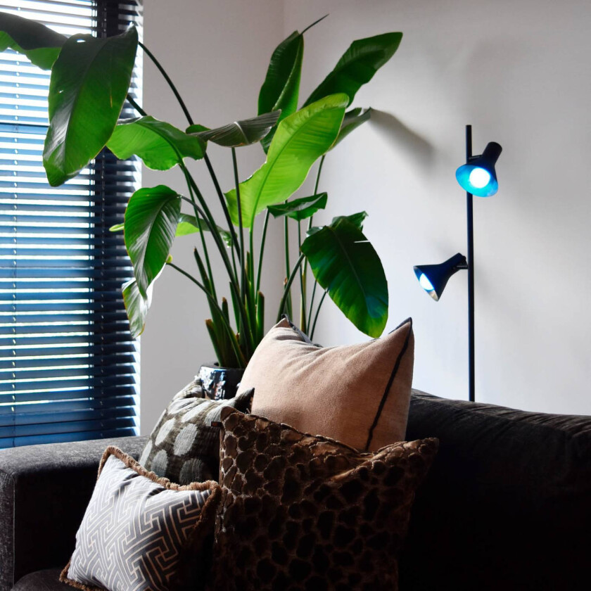 Smart E14 P45 4,9W LED-pære CCT RGB sett med 2 stk