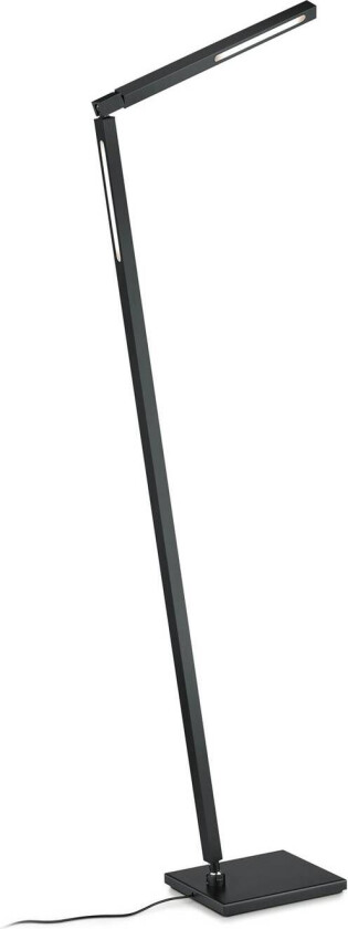 LED-gulvlampe Carla 2, 2 lyskilder, svart