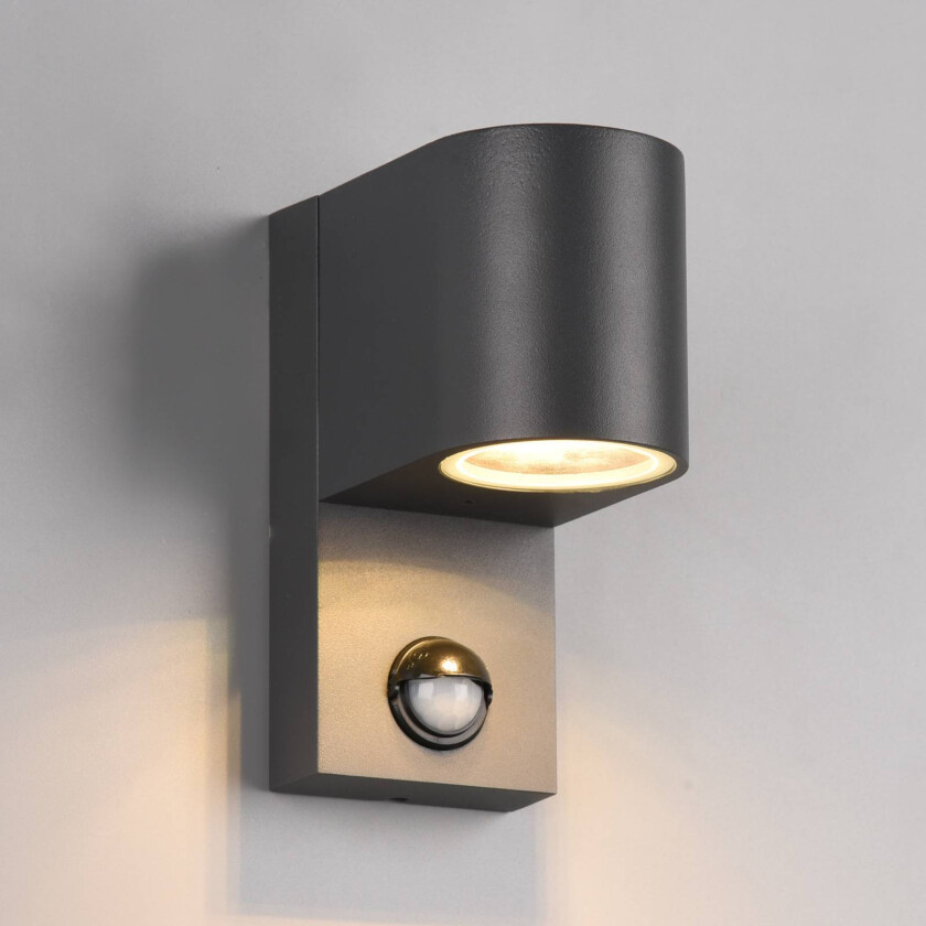 Utevegglampe Roya 1 lyskilde sensor rund antrasitt