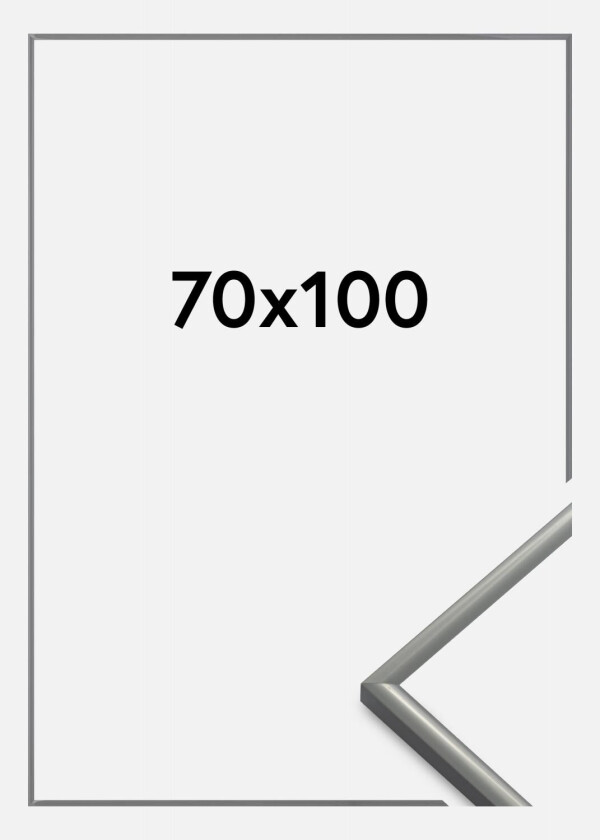 Ramme New Lifestyle Akrylglass Lysegrå 70x100 Cm