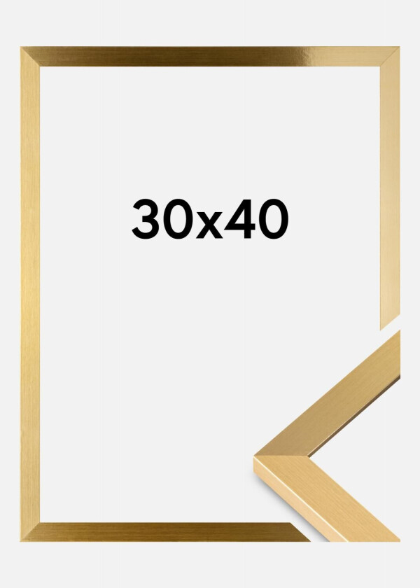 Ramme Selection Akrylglass Gull 30x40 Cm