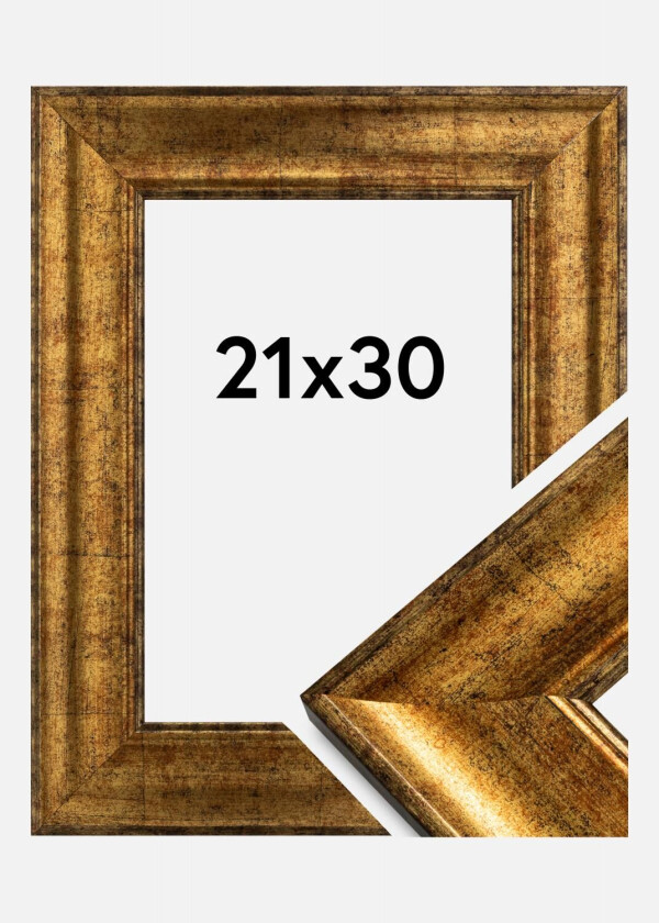 Ramme Saltsjöbaden Akrylglass Gull 21x30 Cm