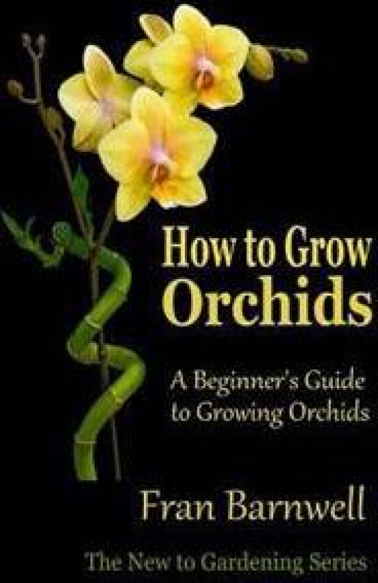 How to Grow Orchids: A Beginner's Guide to Growing Orchids