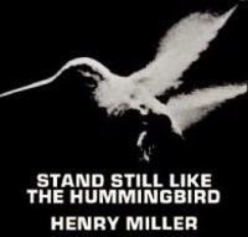 Stand Still Like the Hummingbird