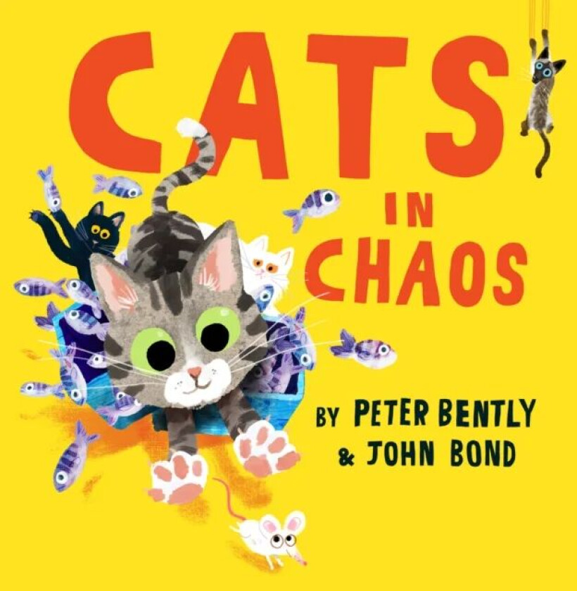 Cats in Chaos av Peter Bently