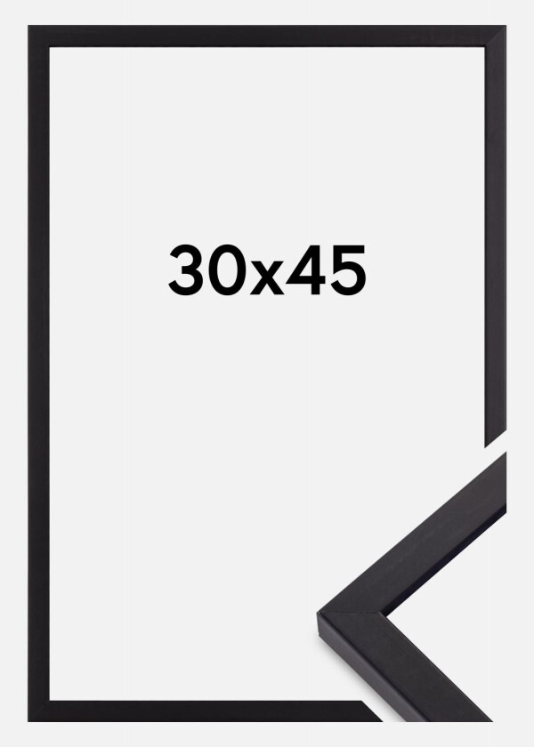 Ramme Torrance Matt Antirefleksglass Svart 30x45 Cm