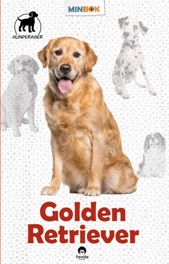 Golden retriever av Susan Miller