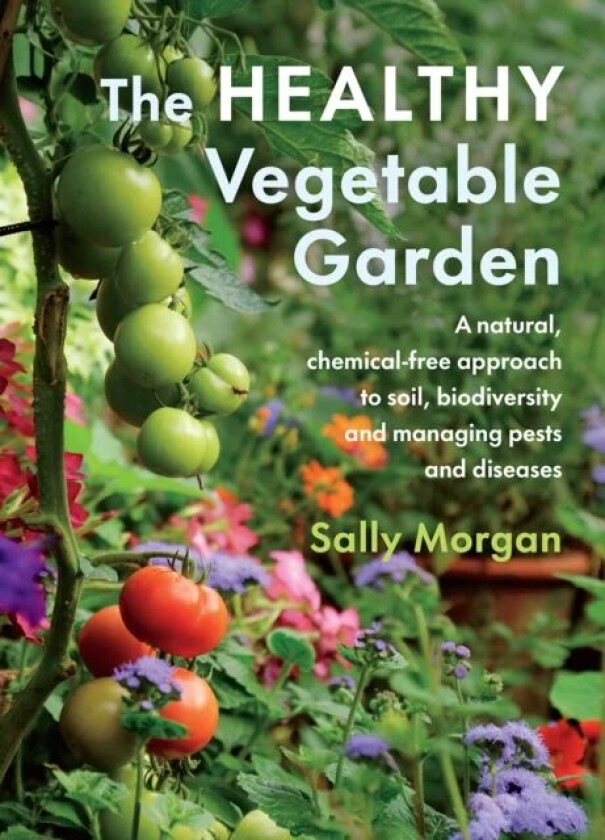 The Healthy Vegetable Garden av Sally Morgan