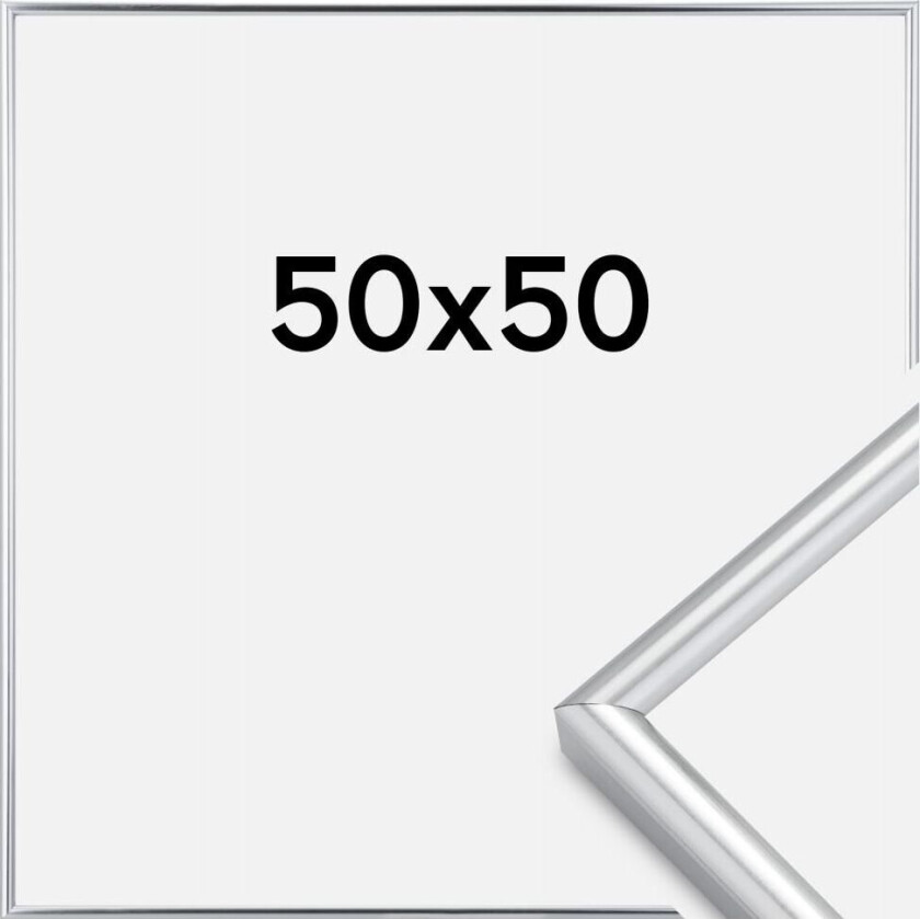 Ramme Galeria Sølv 50x50 Cm