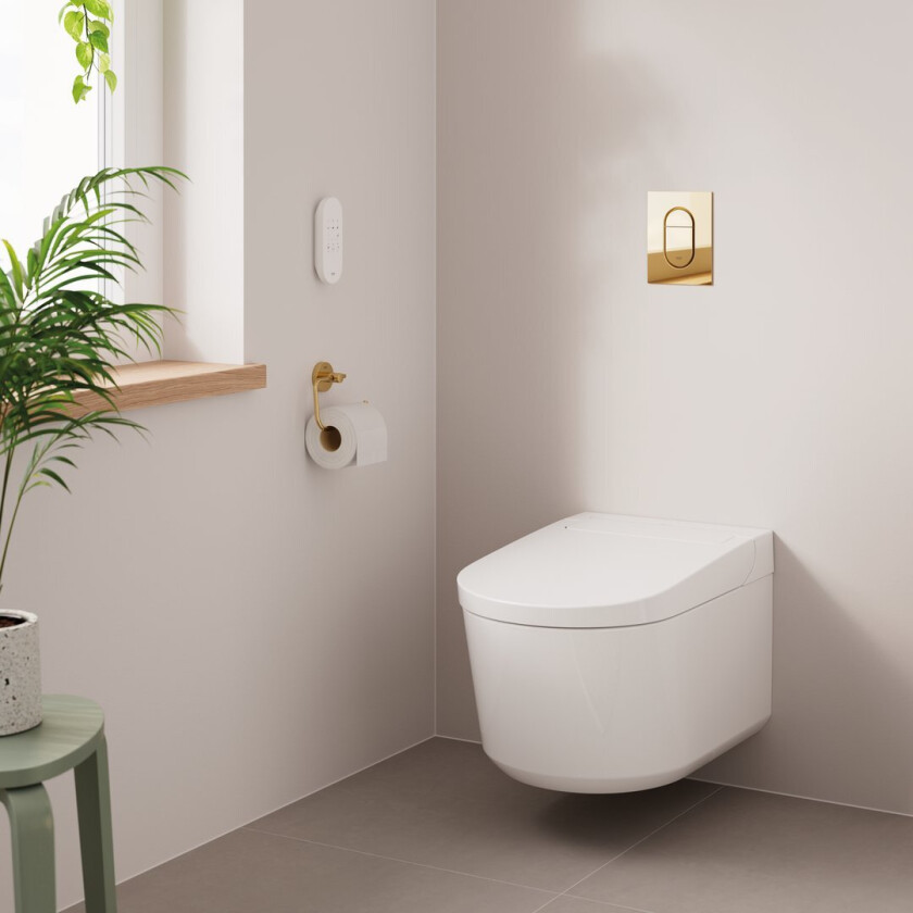 GROHE SENSIA ARENA BASIC VEGGHENGT DUSJTOALETT