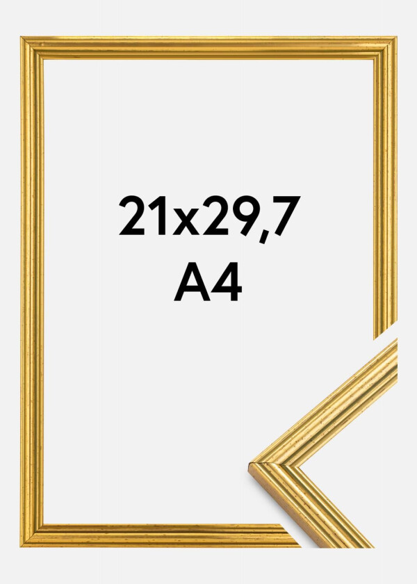 Ramme Classic Gull 21x29,7 Cm (A4)