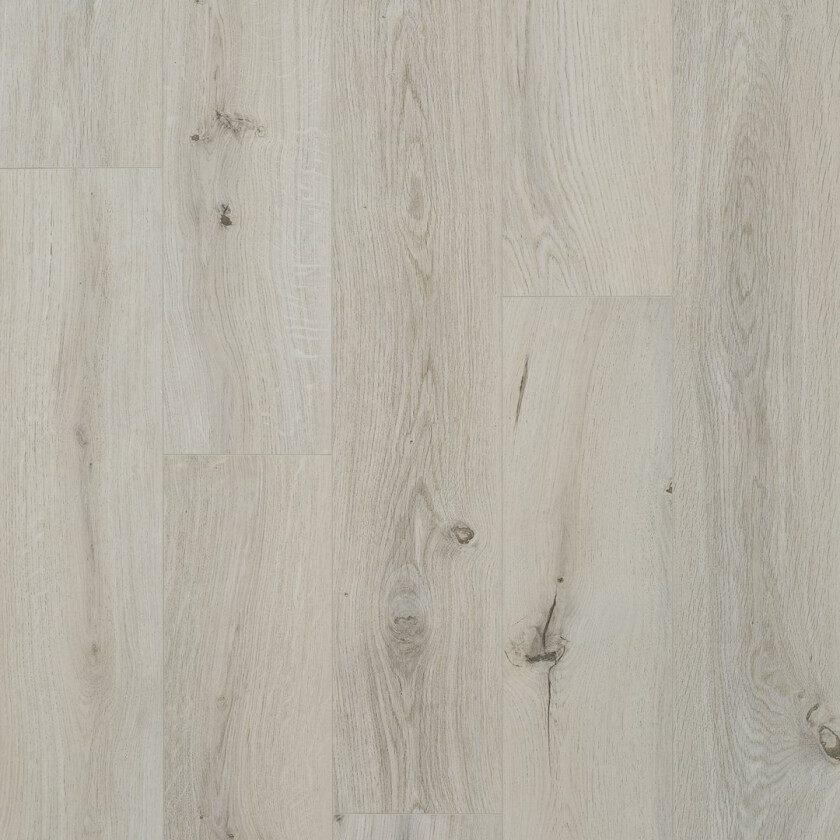 Laminatgulv Ocean 8 V4 Gyant Light