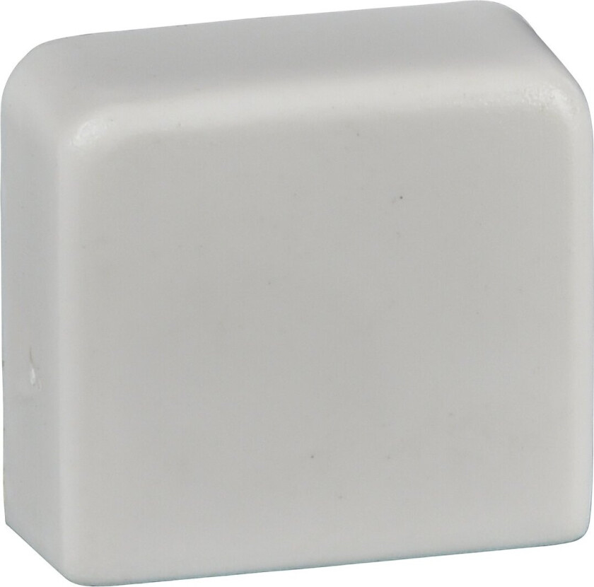 Bilde av SCHNEIDER ENDESTYKKE 25X16 & 25X25