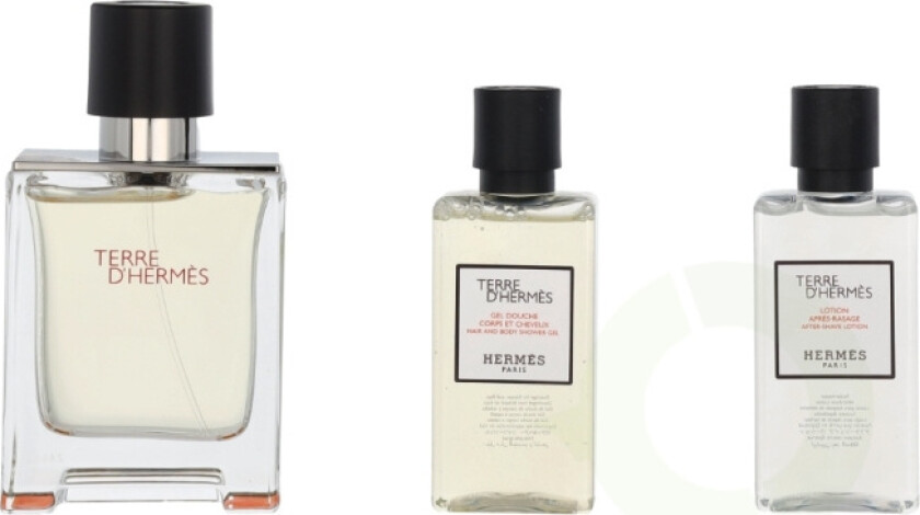 Terre D' Giftset 130 ml Edt Spray 50ml/Shower Gel 40ml/Body Lotion 40ml