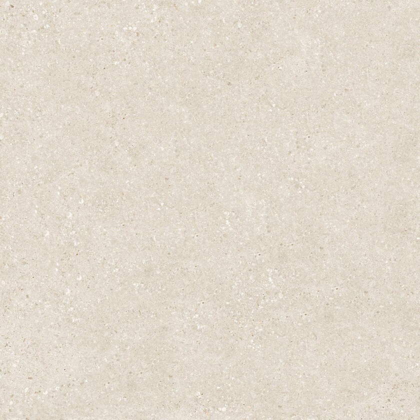 STADIUM BONE 62X120