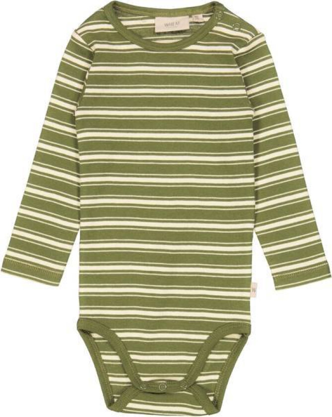 Body Plain Winter Moss