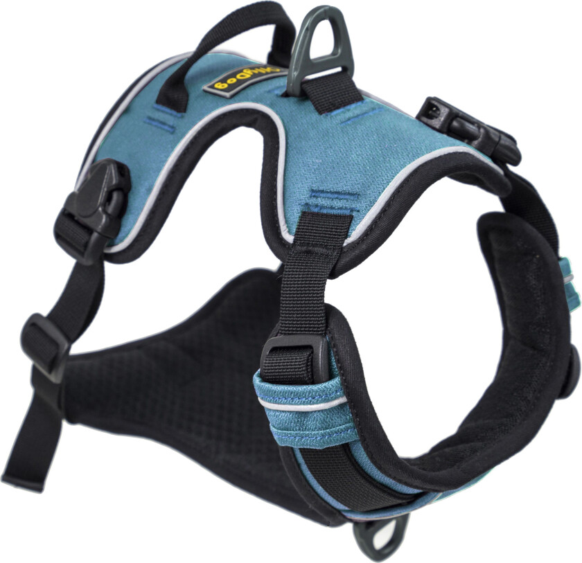 Alpine Reflective Harness S, Malibu