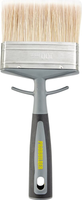 PROBUILDER PENSEL FASADE 100X20 MM