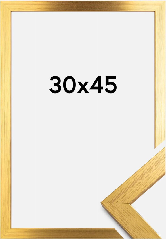 Ramme Gold Wood 30x45 Cm