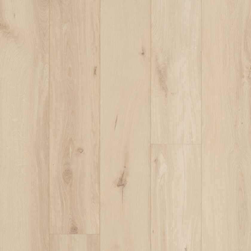 Laminatgulv Ocean 8 XL Gyant XL Light Sand