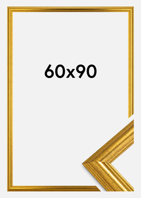 Ramme Västkusten Akrylglass Gull 60x90 Cm